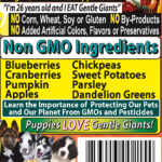 Gentle Giants Natural Non GMO Ingredients Grain Free Dog and Puppy Food Gentle Giants ‘Quality of Life’ 90% Salmon -Dog and Pupp Wet Dog Food, photo 8