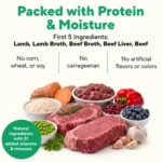 Dave’s Pet Food Dave’s Stewlicious Shepherd’s Pie with Lamb & Beef For Dogs / 13.2 oz Wet Dog Food, photo 2