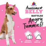 Weruva Awesome Functions Awesome Belly Beef, Rice & Pumpkin For Easy Digestion Wet Dog Food, photo 4