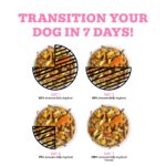 Weruva Awesome Functions Awesome Belly Chicken & Rice For Easy Digestion Wet Dog Food, photo 5