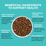 Koha Bland Diet Limited Ingredient Dry Food for Dogs Limited Ingredient Bland Diet Beef & Rice Recipe with Pumpkin Dry Dog Food, photo 3