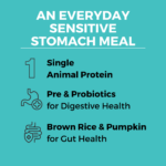 Koha Bland Diet Limited Ingredient Dry Food for Dogs Limited Ingredient Bland Diet Beef & Rice Recipe with Pumpkin Dry Dog Food, photo 4