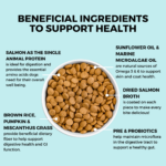Koha Limited Ingredient Dry Bland Diet Salmon & Brown Rice Recipe with Pumpkin Dry Dog Food, photo 3