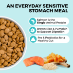 Koha Limited Ingredient Dry Bland Diet Salmon & Brown Rice Recipe with Pumpkin Dry Dog Food, photo 4