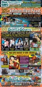 Gentle Giants Wild Caught Salmon - Gentle Giants ‘Quality of Life’ Feast for Seafood Lovers - Dog and Puppy Food Natural, Non GMO Ingredients Dry Dog Food