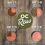 OC Raw Dog Complete Meals Turkey & Produce Frozen Dog Food, photo 7