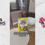 Grandma Lucy’s 3 Bears Chicken Freeze-Dried Dog Food, photo 2