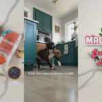 Grandma Lucy’s Macanna Pre-Mix Grain-Free Dog Food Topper, photo 2