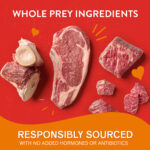 Stella & Chewy’s Itty Bitty Beef Lil’ Bites - Raw for Small Breeds Freeze-Dried Dog Food, photo 5