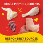 Stella & Chewy’s Chicken Little Lil’ Bites - Raw for Small Breeds Freeze-Dried Dog Food, photo 5