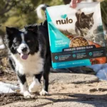 Nulo Raw Beef Recipe with Apples Freeze-Dried Dog Food, photo 4