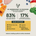 Instinct FreshDried Raw Meals for Puppies Chicken Recipe Grain-Free Freeze-Dried Dog Food, photo 6