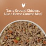 Now Fresh Chicken & Rice Ground with Grains Wet Dog Food, photo 3
