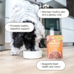 Now Fresh Chicken & Rice Ground with Grains Wet Dog Food, photo 2