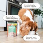 Now Fresh Chicken & Broth Wet Food for Small Breed Dogs Grain-Free Wet Dog Food, photo 2
