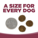 NutriSource PureVita Salmon & Kale Entree Dry Dog Food, photo 6