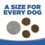NutriSource PureVita Turkey & Cranberry Entree Dry Dog Food, photo 6