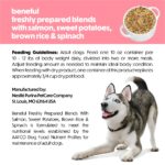Purina Beneful Freshly Prepared Blends Salmon Wet Dog Food, photo 2