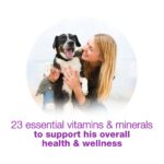 Purina Beneful Freshly Prepared Blends Lamb Wet Dog Food, photo 4
