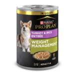 Purina Pro Plan Weight Management Turkey Rice Gravy Wet Dog Food