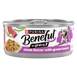 Purina Beneful Steak & Green Beans in Gravy Wet Dog Food