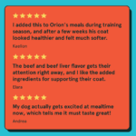 Kismet Shakers Daily Skin & Coat Formula Freeze-Dried Beef & Beef Liver Recipe Dog Food Topper, photo 5