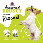 Weruva Awesome Functions Awesome Bouncy Chicken Breast & Riceberry Recipe with Veggies, Turmeric & Ginger Wet Dog Food, photo 5