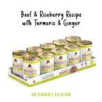 Weruva Awesome Functions Awesome Bouncy Beef & Riceberry For Joint Health Wet Dog Food, photo 3