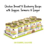 Weruva Awesome Functions Awesome Bouncy Chicken Breast & Riceberry Recipe with Veggies, Turmeric & Ginger Wet Dog Food, photo 3