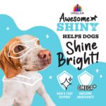 Weruva Awesome Functions Awesome Shiny Chicken & Rice For Skin & Coat Health Wet Dog Food, photo 4
