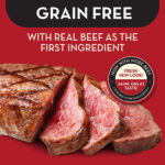 AvoDerm Grain-Free Beef & Vegetables Recipe Dry Dog Food, photo 6