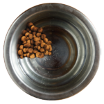 AvoDerm Advanced Sensitive Support Grain-Free Small Breed Beef Formula Dry Dog Food, photo 2