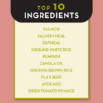 AvoDerm Advanced Sensitive Support Wholesome Grains Salmon & Oatmeal Formula Dry Dog Food, photo 4