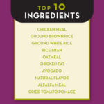 AvoDerm Weight Support Chicken Meal & Brown Rice Recipe Dry Dog Food, photo 4