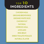 AvoDerm Puppy Chicken Meal & Brown Rice Formula Dry Dog Food, photo 4