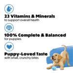 Purina Beneful Healthy Puppy Farm-Raised Chicken Dry Dog Food, photo 4