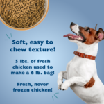 Bil-Jac Picky No More Small Breed Dry Dog Food, photo 4