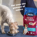 Bil-Jac Picky No More Small Breed Dry Dog Food, photo 6
