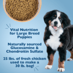 Bil-Jac Large Breed Puppy Dry Dog Food, photo 4
