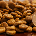 By Nature Lamb & Turkey Meal Recipe Dry Dog Food, photo 2