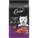 Cesar Filet Mignon Flavor & Spring Vegetables Garnish Dry Dog Food, photo 2