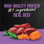 Cesar Filet Mignon Flavor & Spring Vegetables Garnish Dry Dog Food, photo 3