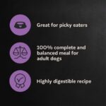 Cesar Filet Mignon Flavor & Spring Vegetables Garnish Dry Dog Food, photo 6