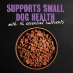 Cesar Filet Mignon Flavor & Spring Vegetables Garnish Dry Dog Food, photo 7