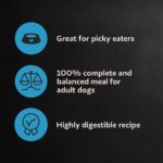 Cesar Rotisserie Chicken Flavor & Spring Vegetables Garnish Dry Dog Food, photo 5