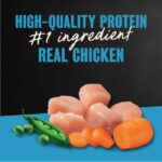 Cesar Rotisserie Chicken Flavor & Spring Vegetables Garnish Dry Dog Food, photo 4