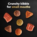 Cesar Filet Mignon Flavor & Spring Vegetables Garnish Dry Dog Food, photo 4