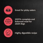 Cesar Porterhouse Flavor & Spring Vegetables Garnish Dry Dog Food, photo 2