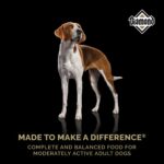 Diamond Original Dry Dog Food, photo 3
