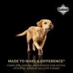 Diamond Premium All Life Stages Dry Dog Food, photo 2